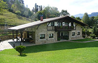 Eleizoste
